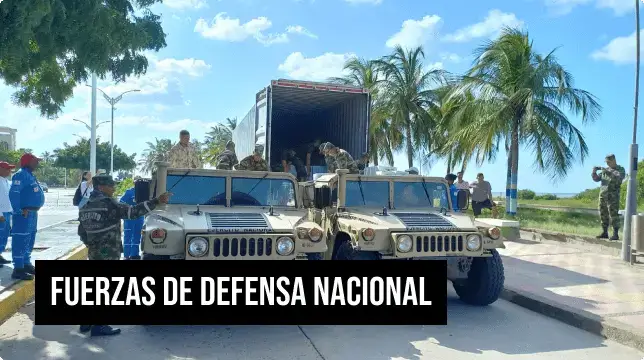 Fuerzas de defensa nacional