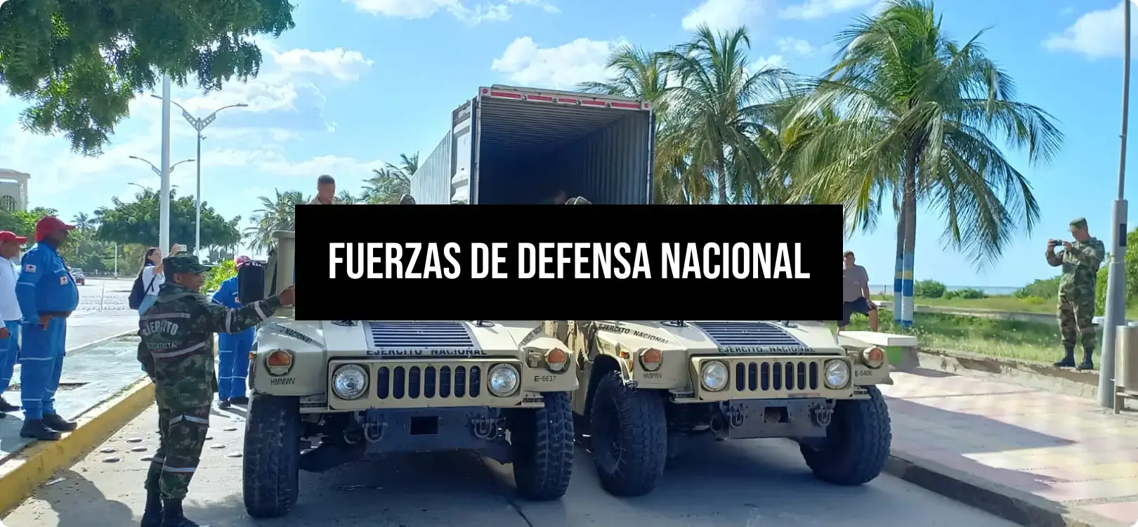 Fuerzas de defensa nacional